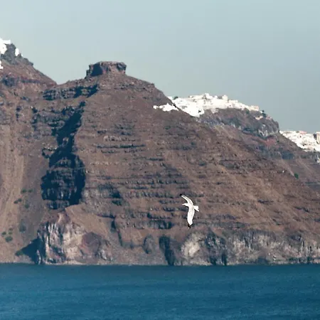 Armenaki